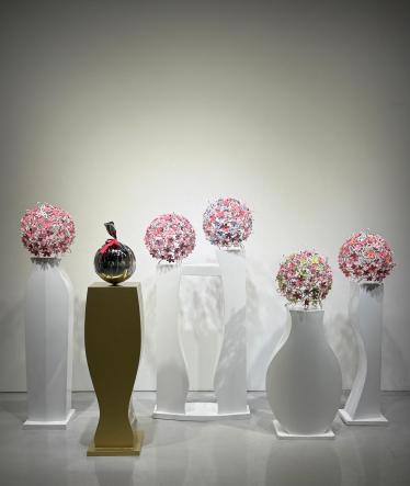 Piona: into bloom